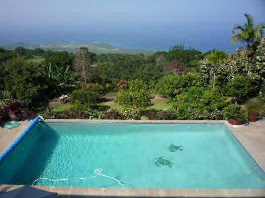 797350B MAMALAHOA HWY, KEALAKEKUA, HI, 96750, USA