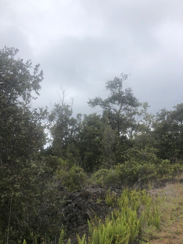 Big Island Listing Image