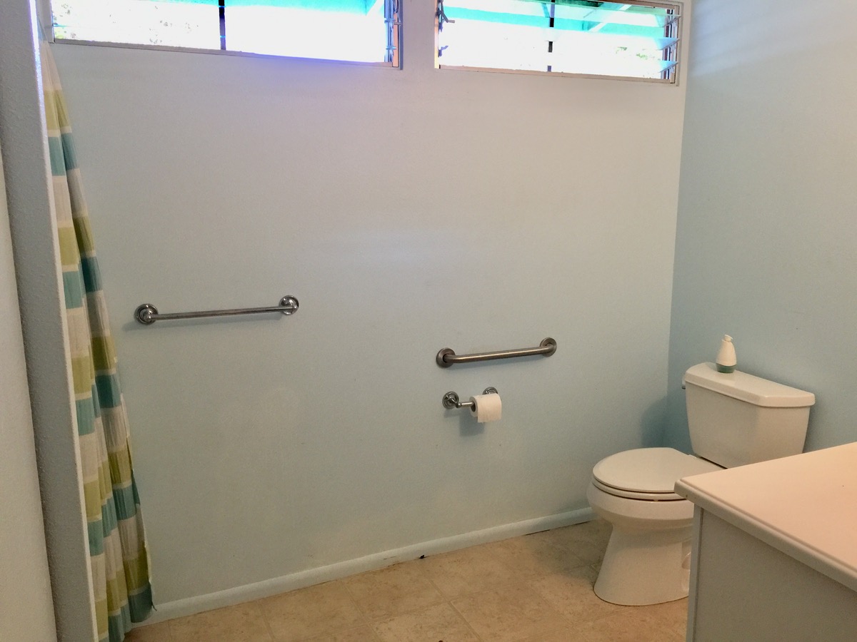 Big Island Listing Image