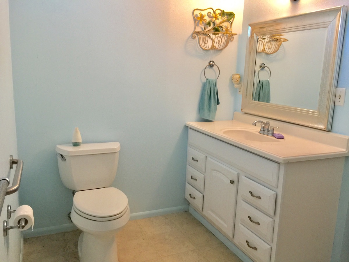 Big Island Listing Image