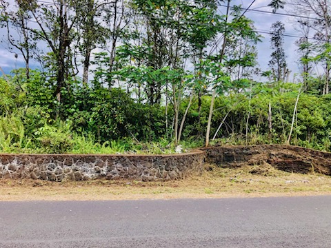 Big Island Listing Image