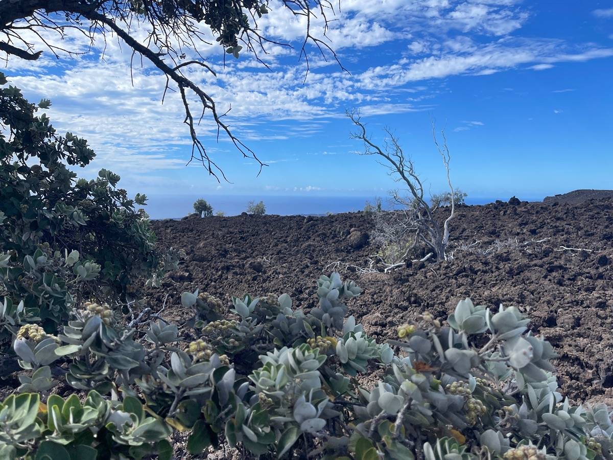 92-8477 HIBISCUS DR OCEAN VIEW HI 96737