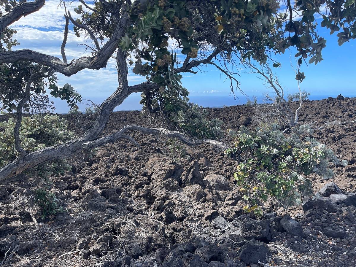 92-8477 HIBISCUS DR OCEAN VIEW HI 96737