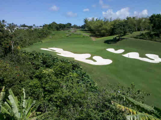 Kauai Real Estate Listing 239599