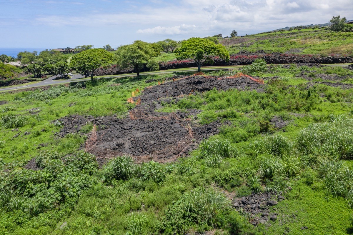 Big Island Listing Image