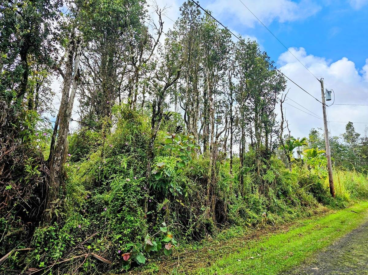 KAILUA RD PAHOA HI 96778