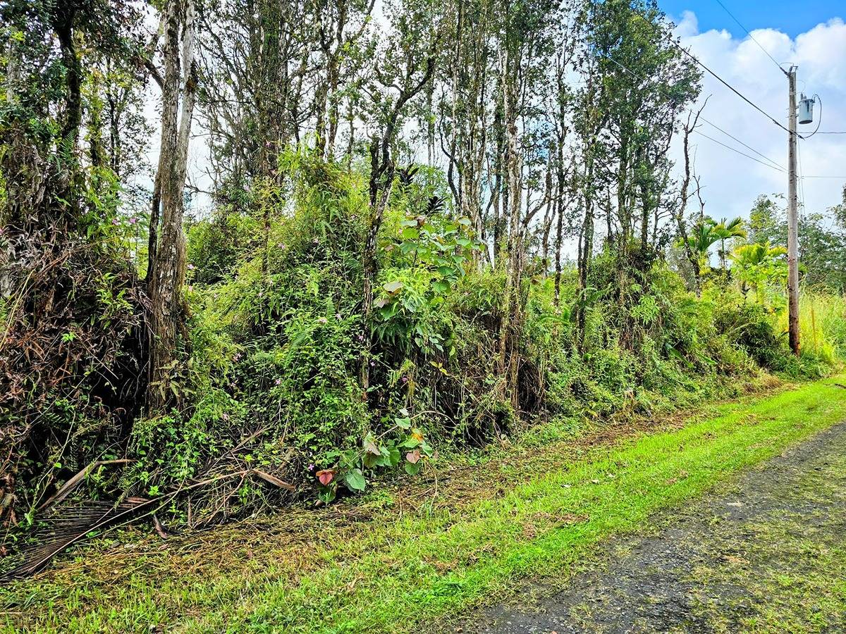 KAILUA RD PAHOA HI 96778